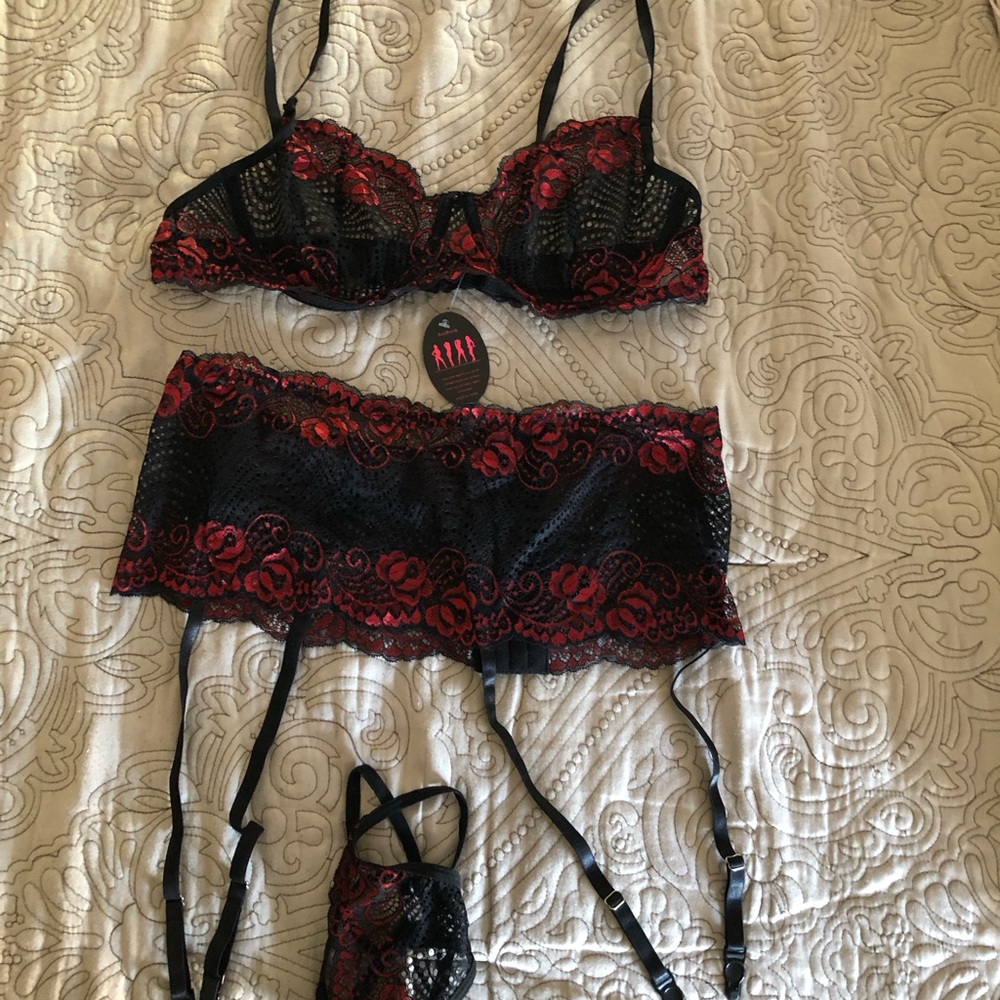 3 pc lingerie set. (Bra, garter belt and g-string)